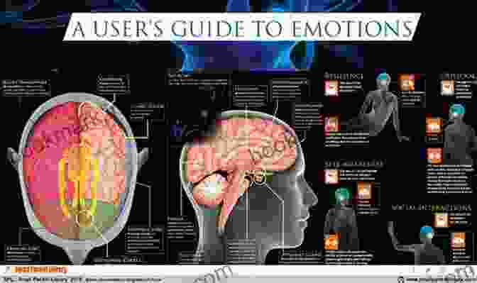 A Brain Scan Highlighting The Areas Of The Brain Involved In Emotional Processing The Monkey In The Mirror: Essays On The Science Of What Makes Us Human