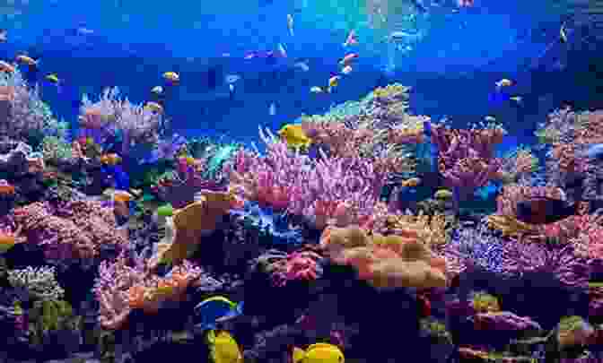 A Diverse Array Of Fish Species Inhabiting A Coral Reef Ecosystem, Showcasing The Immense Biodiversity Of Aquatic Life. Fisheries Biology Assessment And Management