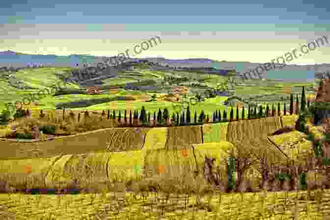 A Panoramic View Of The Rolling Hills Of The Tuscan Countryside, Dotted With Vineyards And Cypress Trees The Road To San Giovanni