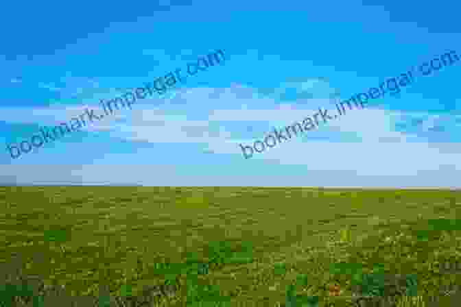 A Photo Of A Lush Green Field With A Clear Blue Sky Above, Emphasizing The Importance Of Soils For Sustaining Life. Soils And Environment (Routledge Physical Environment Series)