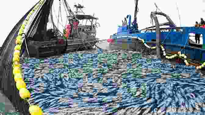 A Photograph Of A Fishing Boat With A Net Full Of Fish. Mismanagement Of Marine Fisheries