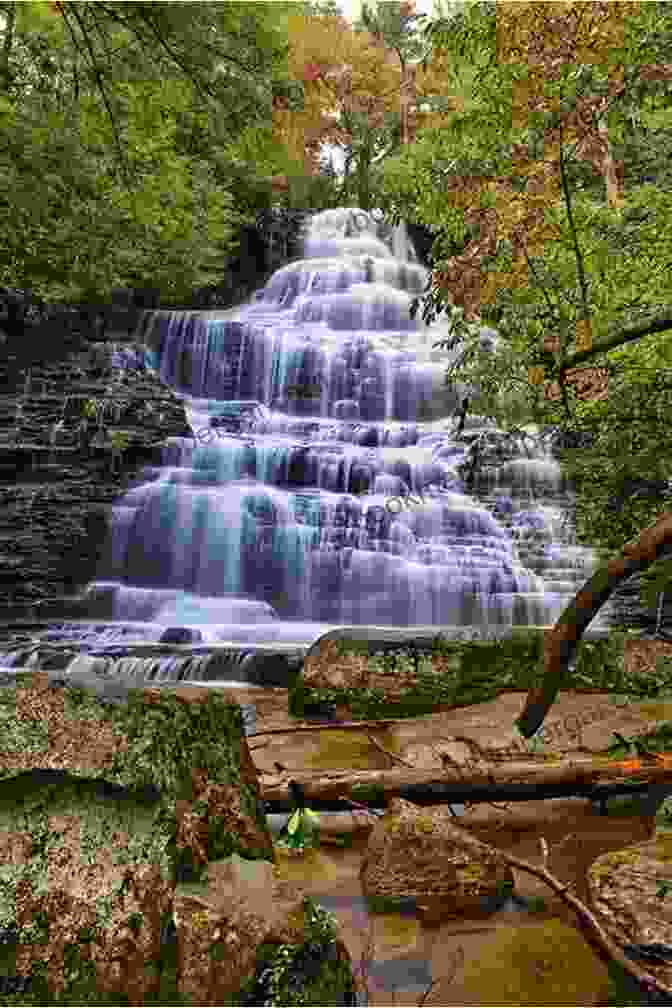 A Stunning Landscape Photograph Of A Waterfall Cascading Down A Rocky Cliff, Surrounded By Lush Greenery. Landscape Detailing Volume 4: Water Michael Littlewood