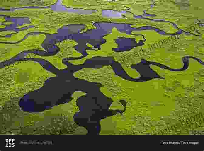 Aerial View Of The Everglades, Revealing The Hidden Springs That Dot The Landscape Hidden Springs Of The Everglades