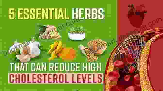 Blood Cholesterol Leaf, A Powerful Natural Remedy For Lowering Cholesterol And Improving Overall Health Blood Cholesterol Leaf