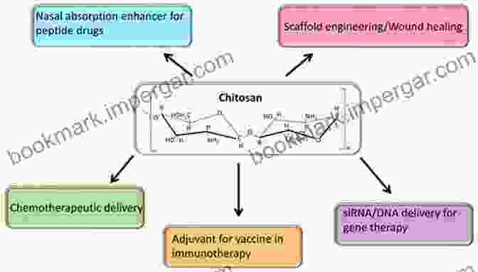 Chitin And Chitosan In Drug Delivery Chitin And Chitosan For Regenerative Medicine (Springer On Polymer And Composite Materials)