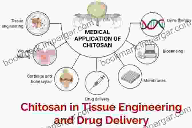 Chitin And Chitosan In Tissue Engineering Chitin And Chitosan For Regenerative Medicine (Springer On Polymer And Composite Materials)