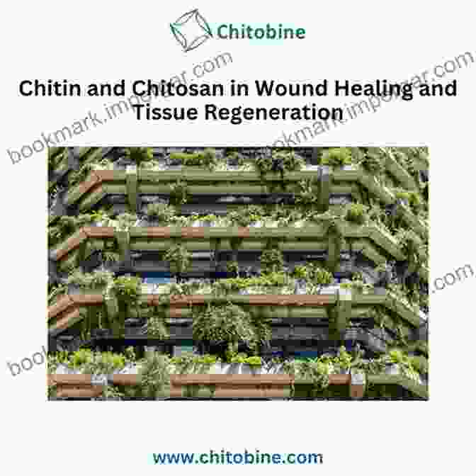 Chitin And Chitosan In Wound Healing Chitin And Chitosan For Regenerative Medicine (Springer On Polymer And Composite Materials)