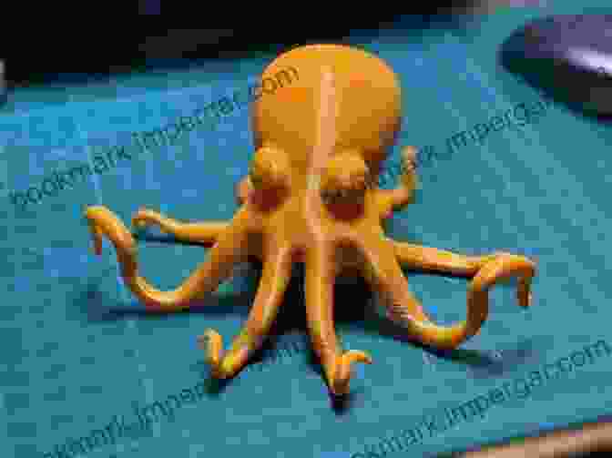 Customizing Octopus 3D Model 3D Printing Designs: Octopus Pencil Holder