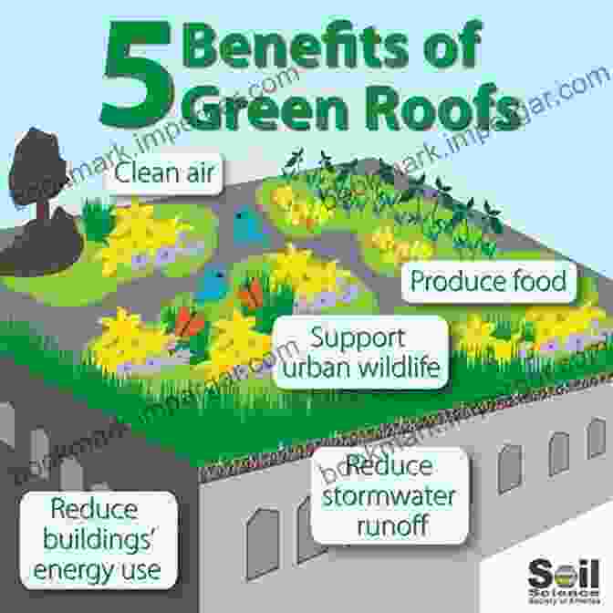 Image Of A Green Roof Absorbing Rainwater Urban Services To Ecosystems: Green Infrastructure Benefits From The Landscape To The Urban Scale (Future City 17)