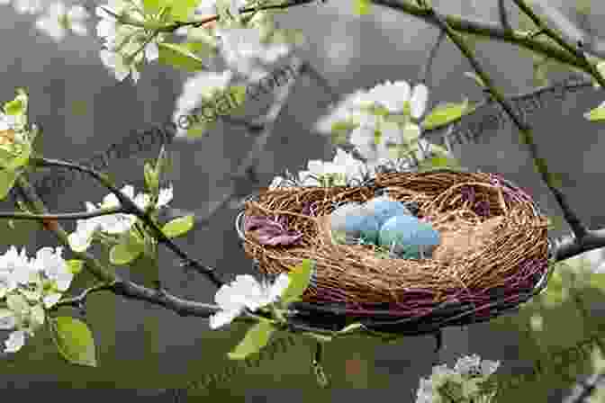 Image Of Birds Nesting In A Tree In An Urban Area Urban Services To Ecosystems: Green Infrastructure Benefits From The Landscape To The Urban Scale (Future City 17)