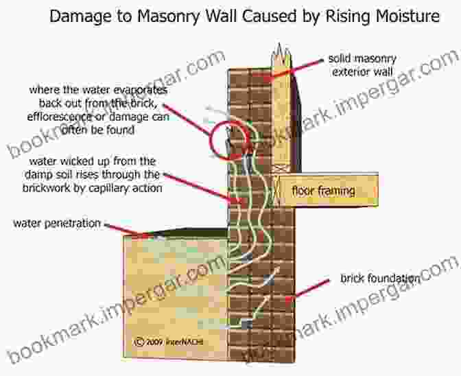 Moisture Related Building Pathologies And Their Consequences Hygrothermal Behaviour And Building Pathologies (Building Pathology And Rehabilitation 14)