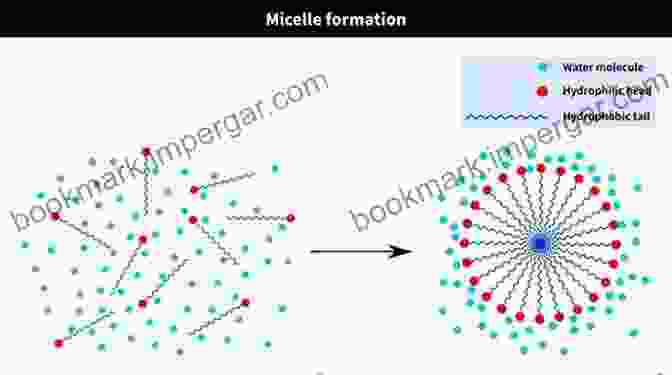 Polymeric Surfactants Forming Micelles And Vesicles Polymeric Surfactants (Surfactant Science 42)