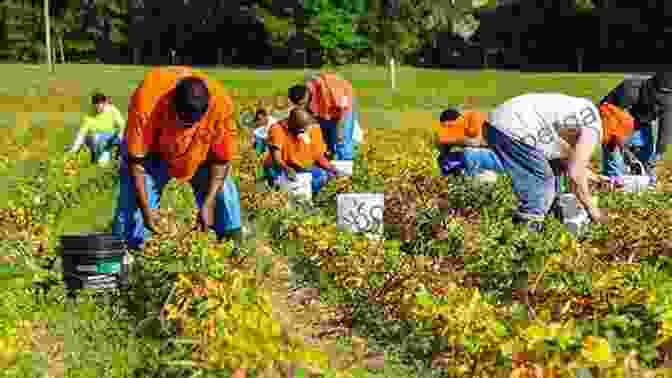 Roane County Farmers Harvesting Crops Roane County (Images Of America)