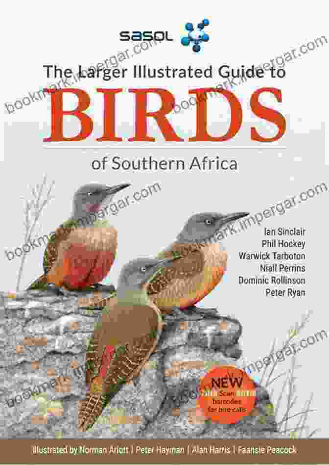 Sasol Birds Of Southern Africa Field Guide Sasol Birds Of Southern Africa