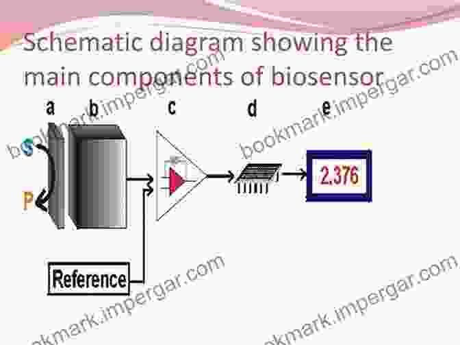 Schematic Diagram Of Biosensor Components Advanced Biosensors For Virus Detection: Smart Diagnostics To Combat SARS CoV 2