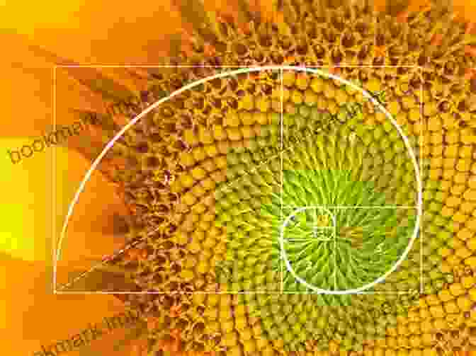 The Golden Ratio In Nature Harmonic Proportion And Form In Nature Art And Architecture (Popular Science)