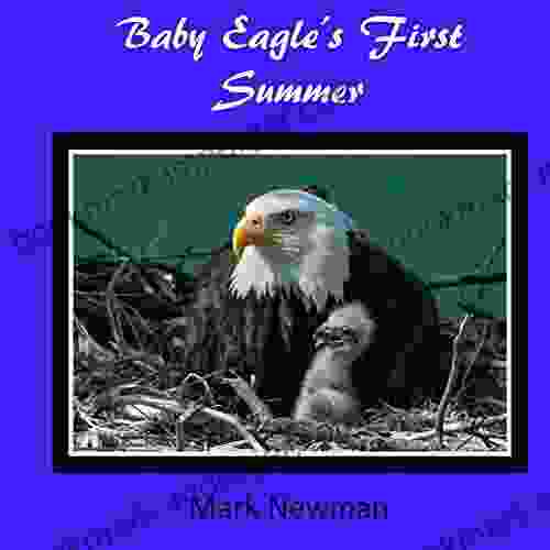 Baby Eagle S First Summer Lisa London