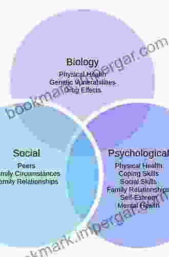 The Patient: Biological Psychological And Social Dimensions Of Medical Practice