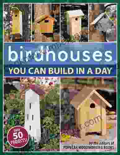 Birdhouses You Can Build In A Day (Popular Woodworking)