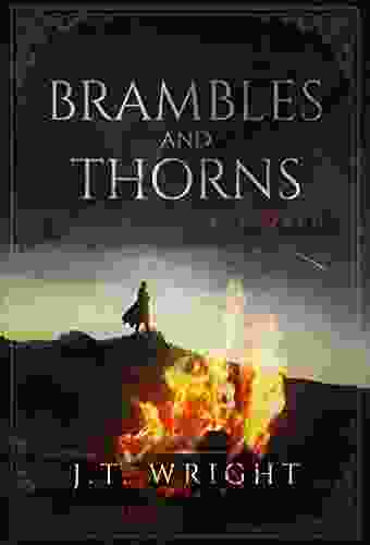 Brambles And Thorns (The Infinite World 4)