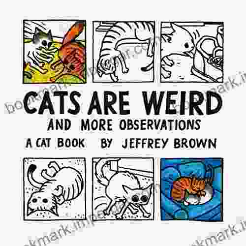 Cats Are Weird: And More Observations