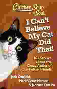 Chicken Soup For The Soul: I Can T Believe My Cat Did That : 101 Stories About The Crazy Antics Of Our Feline Friends