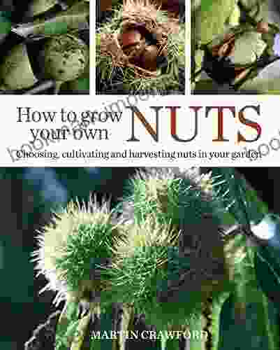 How To Grow Your Own Nuts: Choosing Cultivating And Harvesting Nuts In Your Garden