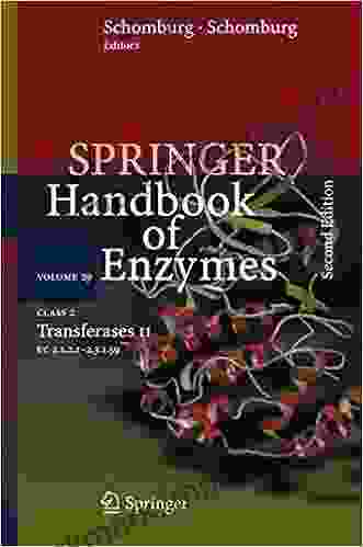 Class 2 Transferases II: EC 2 1 2 1 2 3 1 59 (Springer Handbook Of Enzymes 29)