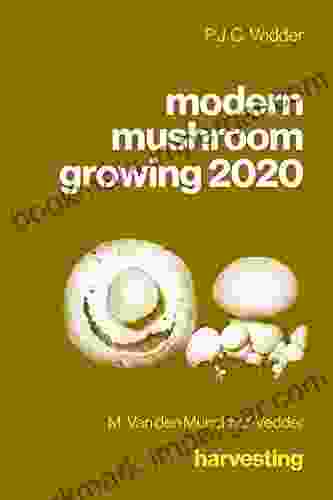 Modern Mushroom Growing 2024 Harvesting Jacques Kagan