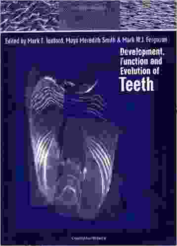 Development Function And Evolution Of Teeth