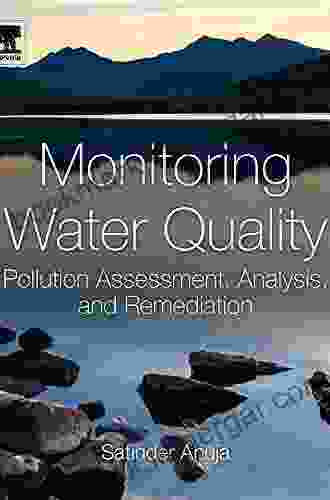 Monitoring Water Quality: Pollution Assessment Analysis And Remediation