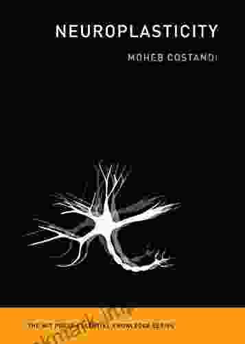 Neuroplasticity (The MIT Press Essential Knowledge Series)