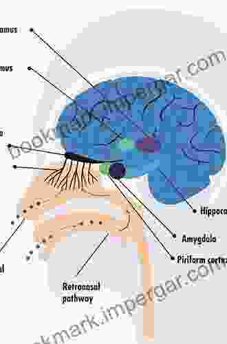 Olfaction and the Brain