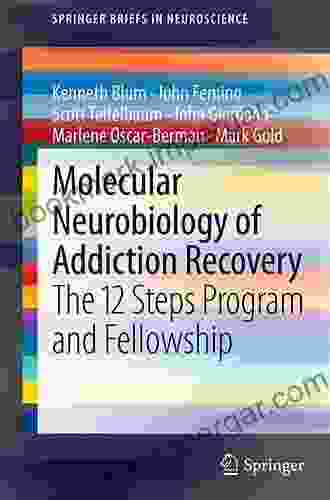 Molecular Neurobiology of Addiction Recovery: The 12 Steps Program and Fellowship (SpringerBriefs in Neuroscience)