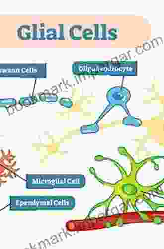 The Biology of Glial Cells: Recent Advances