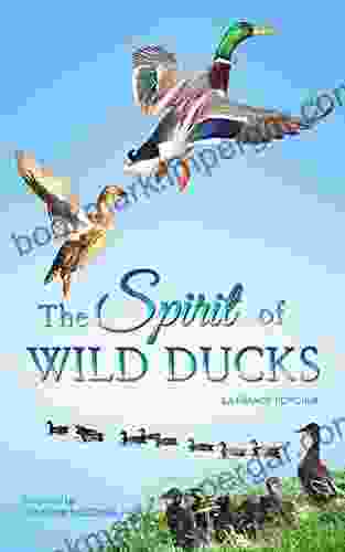 The Spirit Of Wild Ducks