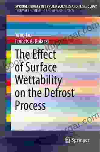 Interface Influence On Moisture Transport In Building Components: The Wetting Process (SpringerBriefs In Applied Sciences And Technology)