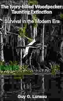 The Ivory Billed Woodpecker:Taunting Extinction: Survival In The Modern Era