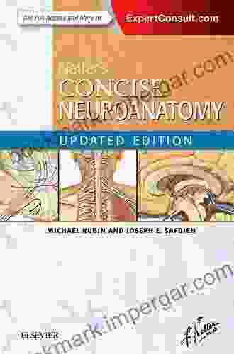 Netter S Concise Neuroanatomy Updated Edition (Netter Clinical Science)