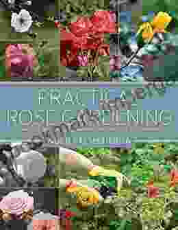 Practical Rose Gardening: How To Place Plant And Grow More Than Fifty Easy Care Varieties