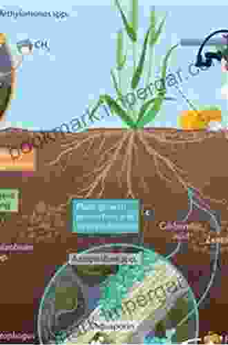 New And Future Developments In Microbial Biotechnology And Bioengineering: Microbes In Soil Crop And Environmental Sustainability