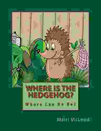 Where Is The Hedgehog?: Where Can He Be?